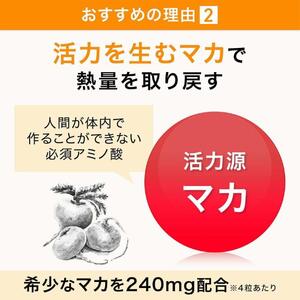 サントリーウエルネス グラン マカ 120粒入 約30日分 ハードカプセル 3大成分 活力 毎日 サポート スーパーアミノ酸 L-シトルリン 亜鉛 静岡県 富士市 [sf061-011]