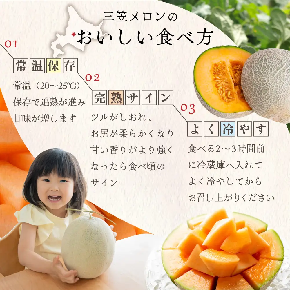 《2026年分受付中》三笠メロン3玉入(4.0kg以上)【0130101】