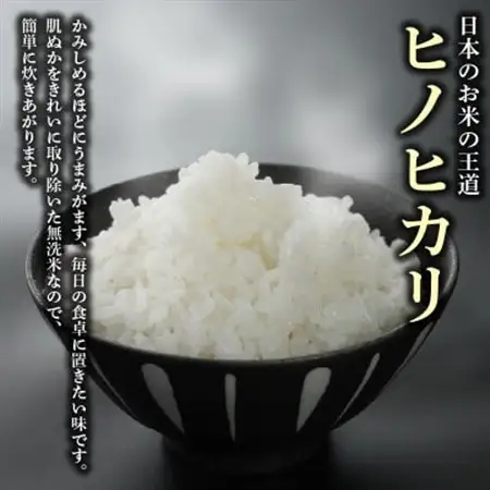 ヒノヒカリ無洗米5kg_ 無洗米 米 こめ コメ_【1576332】