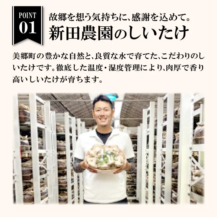 菌床しいたけ　かご入り