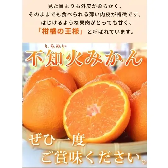 【2027年先行予約】紀州有田産 不知火 (しらぬい)【家庭用 訳あり】6kg デコポン フルーツ デザート 柑橘 果物 果実 みかん お取り寄せ 和歌山県 湯浅町 送料無料_G7358