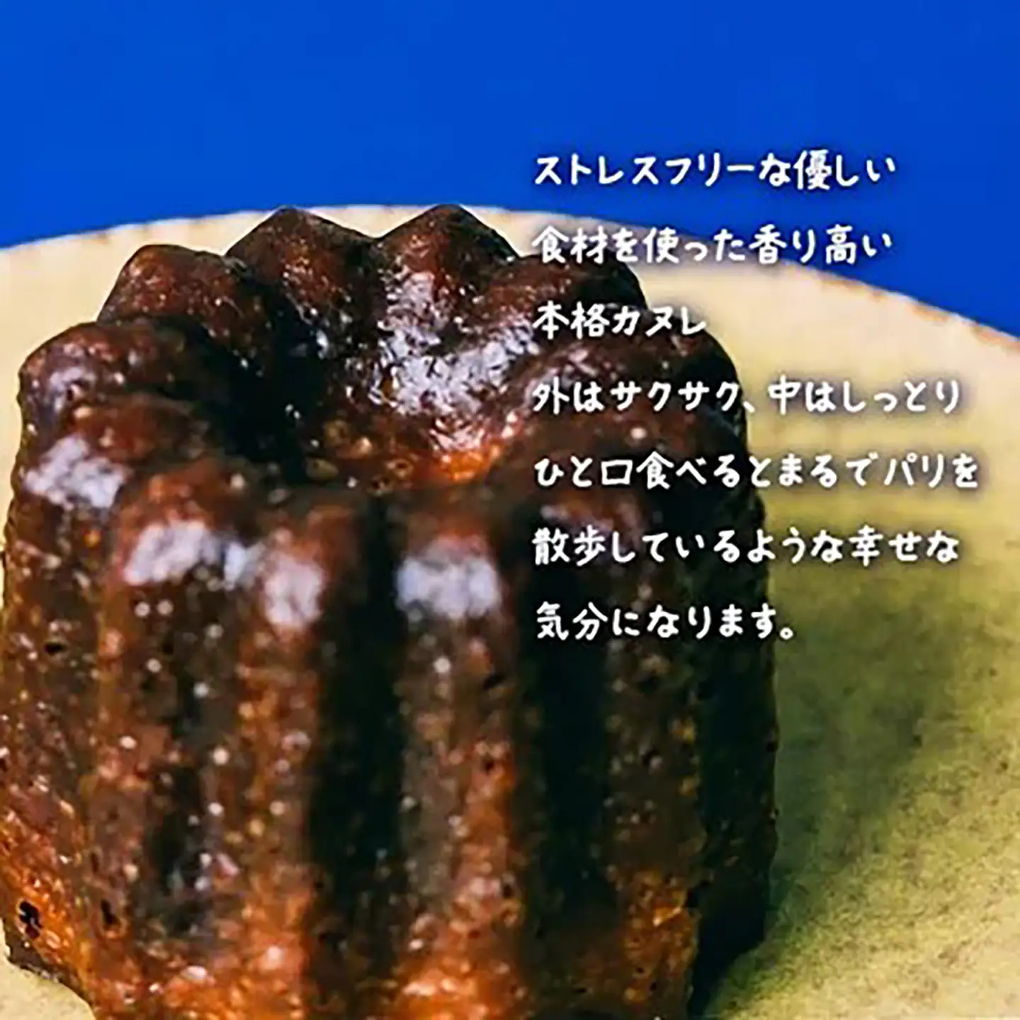 ごほうびカヌレ 5個入 カヌレ