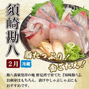 定期便 6回 お楽しみ 野島水産 | 魚貝定期便 海鮮定期便 6ヶ月定期便 魚介定期便