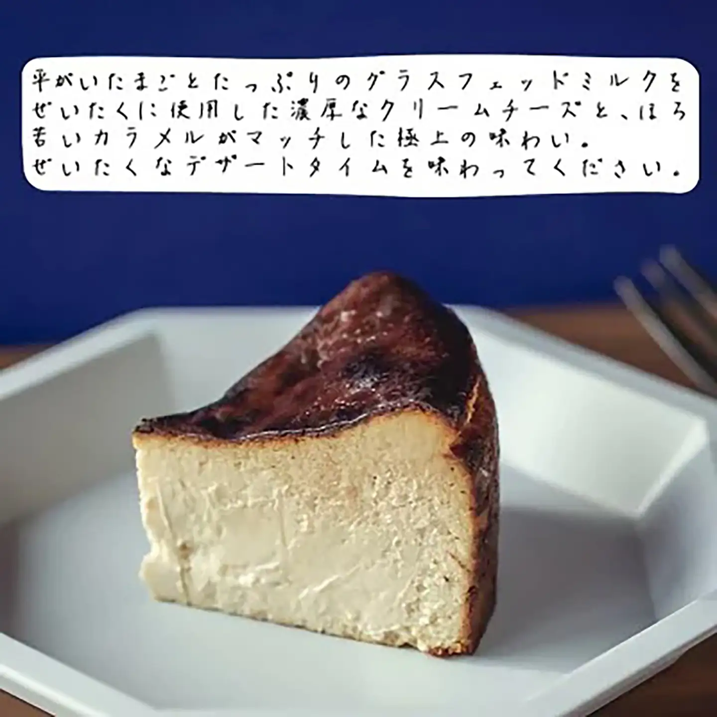 ケーキ テリーヌ ご自宅用簡易包装 アマイオトのごほうび 5ヶ月定期便