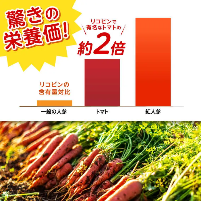 【甘さと栄養を100%凝縮！】真っ赤な人参 「紅天神」 キャロットジュース 720ml×2本 / にんじん ニンジン 人参 キャロット きゃろっと ジュース じゅーす きゃろっとじゅーす / 諫早市 / 滝商店株式会社 [AHCU003]