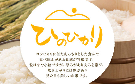 令和7年産 米 にこまる ひのひかり 食べ比べ 約10kg ( 各 5kg ) こめ コメ 白米 上田農園《30日以内に出荷予定(土日祝除く)》 熊本県 荒尾市