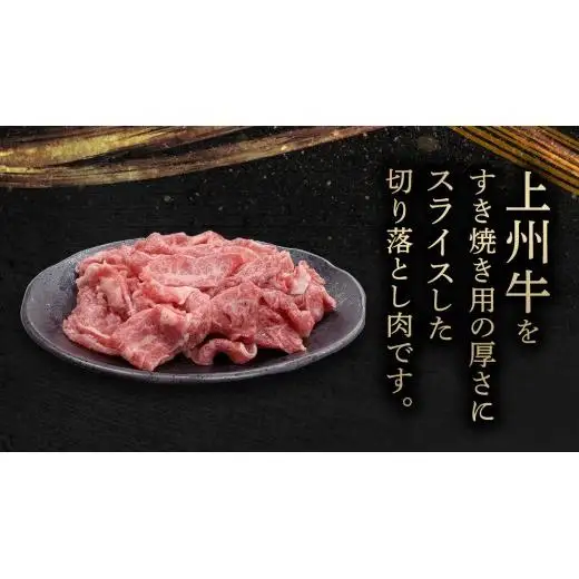 【 定期便 隔月 3回 】上州牛 切り落とし 1kg ( 500g × 2パック ) [AH029tu]