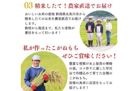 もち米『こがねもち』 3kg  (約2升) 新潟県産 【令和7年産】つやつやモチモチ もち米ならではの芳醇な香り 百姓や伝六 1等米【もち米 餅 赤飯 おこわ ふるさと納税 米 ブランド米 黄金餅 もち米 2025年産】