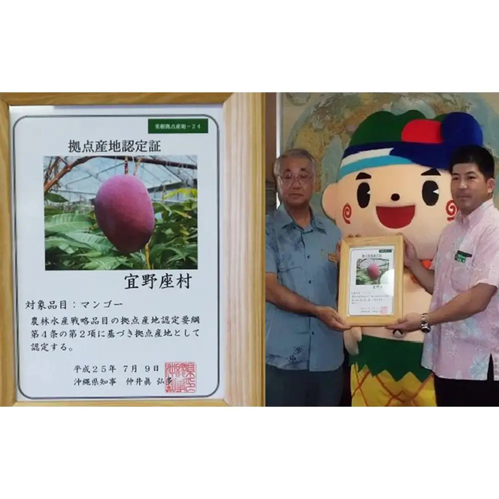 【2027年発送】マンゴーの拠点産地「宜野座村」の家庭用アップルマンゴー 約2kg（3玉～7玉）