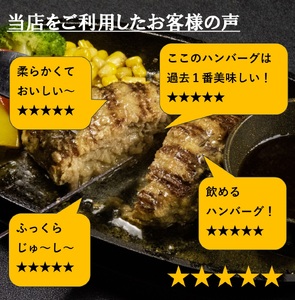 おおいた和牛入ハンバーグ8個_B172-008