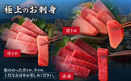 本物 の 味をお届け ！ 厳選 ！ 天然 三崎 まぐろ ＜ 希少部位 ＞ 背トロ ＆ 中トロ ・ 赤身 M005-039 冷凍 マグロ