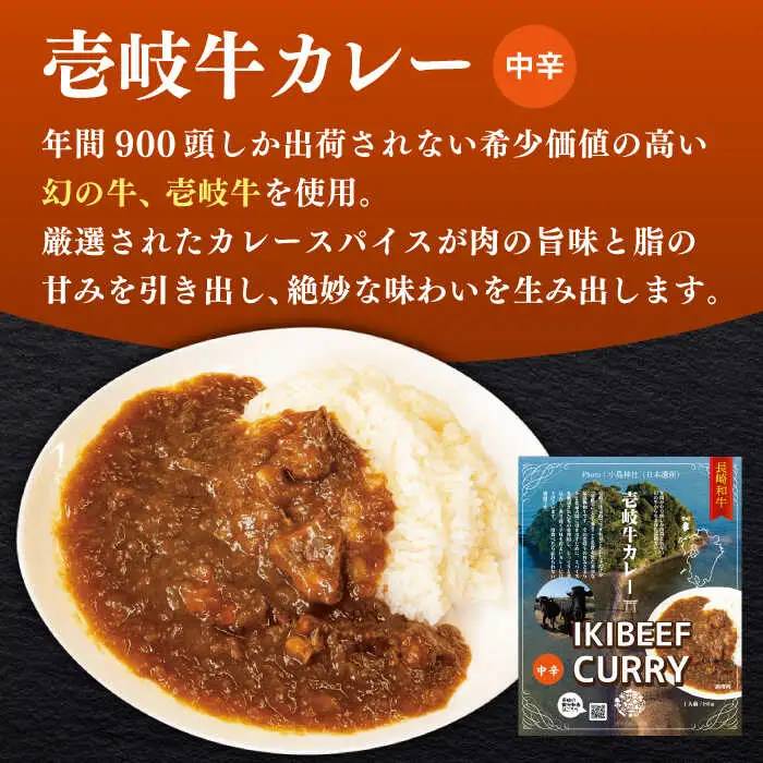 【お中元】壱岐牛カレー中辛づくし《壱岐市》【壱岐フードファクトリー】常温配送 カレー ご当地カレー レトルト 簡単調理 [JDW041]