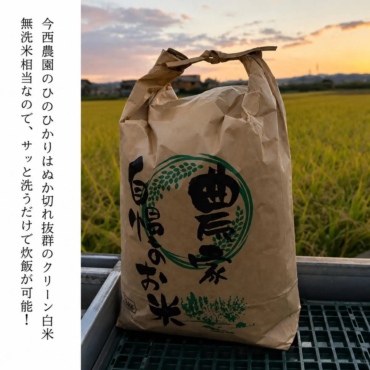 ひのひかり 今西さん家のお米 白米 精米 奈良県産 ひのひかり【10kg】