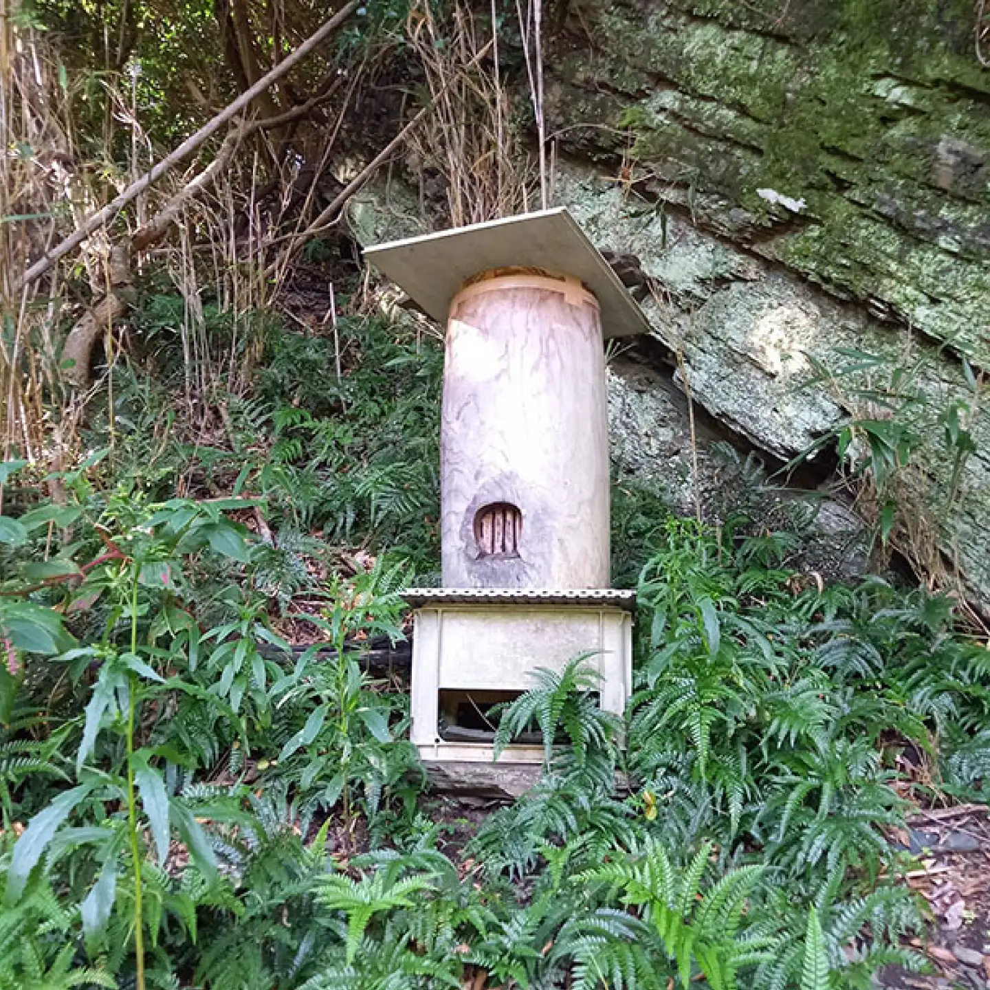 対馬天然和蜂 蜂蜜 ハチミツ 蜂蜜 天然 お歳暮 ギフト [WAD052] はちみつ 