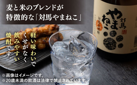 国境の島 対馬の地酒定期便 【白嶽酒造】 常温配送 地酒 対馬 島酒 焼酎 日本酒 [WAN039]