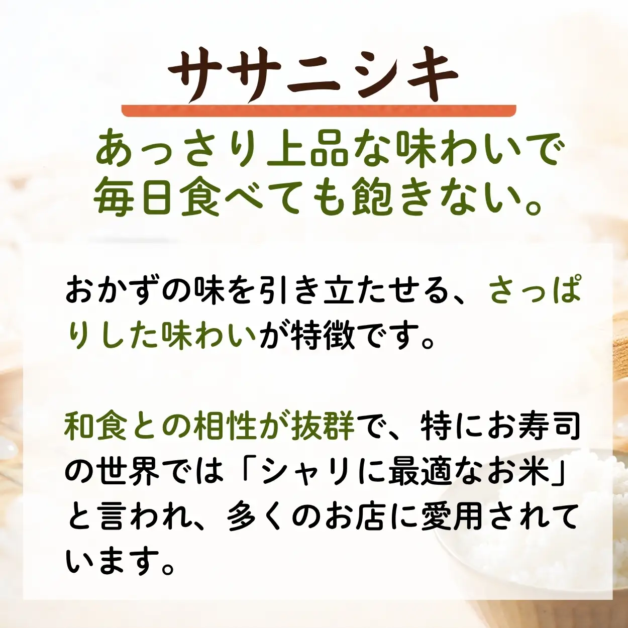 【先行予約】 ササニシキ 精米 10kg 令和8年  宮城県産 パスカファーム B ササニシキ