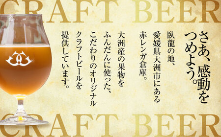 【年末限定】【全6回】クラフトビール定期便（宇和島パールエール）[AGAY030]定期便6回定期便6回定期便6回