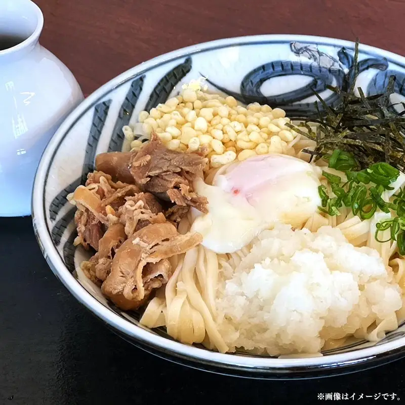 潤生うどん８食入り - 麺 800g 饂飩 国産小麦 麺類 乾麺 早茹で つゆ付 つるつる もちもち 潤い 再熟成 こだわり 製法 ざるうどん 冬 温うどん 一年中 楽しめる 人気 おすすめ 熊本県 甲佐町 肥後そう川