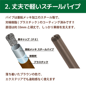 daim ガーデンアグリ果樹棚セット 3m×2m 藤棚・ぶどう棚 [K-18401]