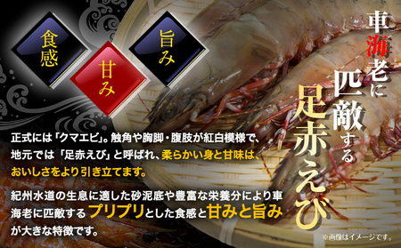 えび 紀州和歌山産 天然足赤えび 540g 