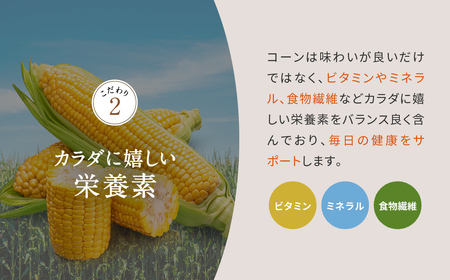 香ばし茶房 国産 コーン茶 160g（4g×40包）