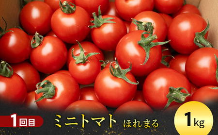 【定期便4回】逸品！大満足！特産品定期便 北海道 富良野市 まるごと 味わう スイーツ ワイン ザンギ トマト ババロア プリン マスカルポーネ