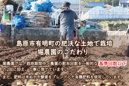 BI210 じゃがいも ＆ 人参 セット ( ながさき黄金＆冬人参 ) 約 10kg
