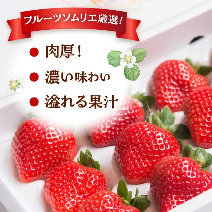 福岡産 あまおう ギフト箱（24-30粒） 桂川町/南国フルーツ株式会社 [ADBW014] あまおう 博多 福岡 贈答