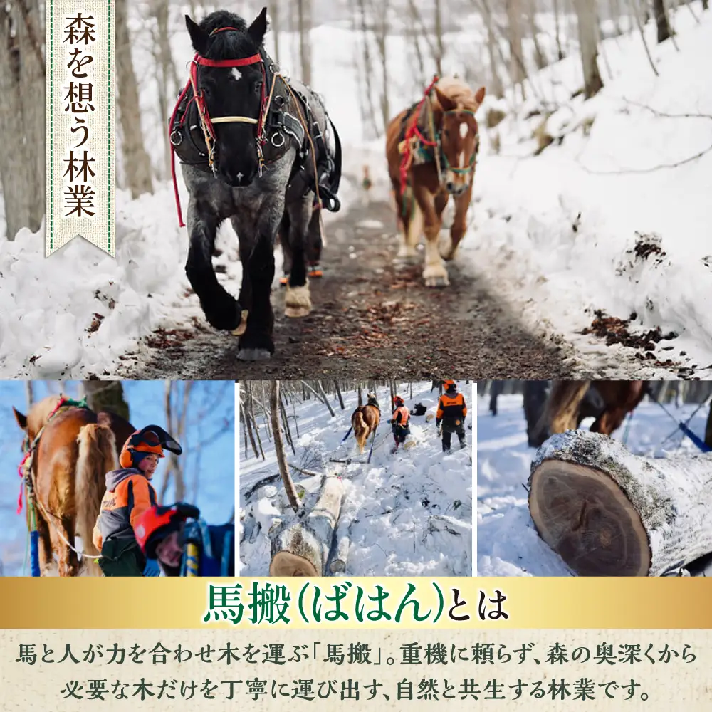 【全2回定期便】北海道 ナラ薪 100kg（20kg×5箱）【西埜馬搬】 薪 まき 薪ストーブ ストーブ キャンプ 北海道  [AXBE006]