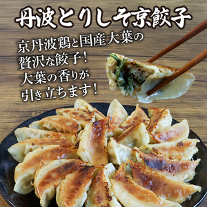 餃子2種 180個(にんにく＆丹波とりしそ)京都餃子 餃子餃子餃子餃子餃子 234