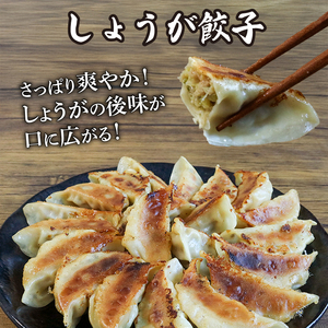 餃子3種 180個 (にんにく&しょうが&丹波とりしそ) 京都餃子 餃子餃子餃子餃子餃子 236