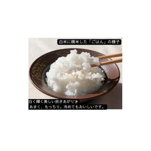 【若づる米】オーガニック 有機米 きぬむすめ 玄米 3kg[1175]
