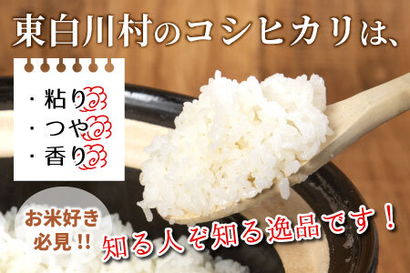 【令和7年産・先行受付】令和7年産 コシヒカリ 新米 玄米 約10kg 岐阜県 東白川村産