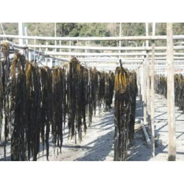 紀州衣奈産乾燥わかめ 約150g×8パック（2027年産） ［SL45］