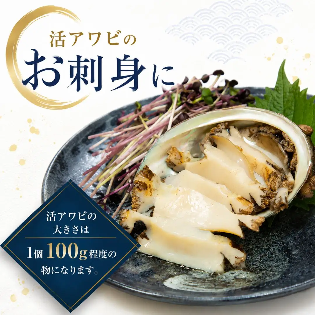 あわび 2枚 200g相当| 天然 新潟県 佐渡市 アワビ
