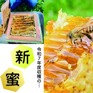 GD009_日本蜜蜂の純粋はちみつ１4０ｇ×1　日本蜜蜂の蜜蝋110ｇ