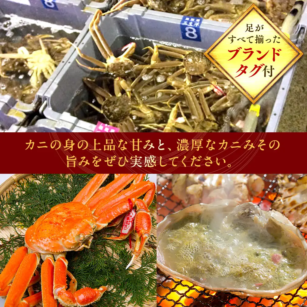 【ボイル】タグ付き 松葉ガニ 中1枚（700g前後） |  カニ 松葉ガニ タグ付き 【着日指定不可】※2026年11月上旬～2027年3月下旬頃に順次発送予定
