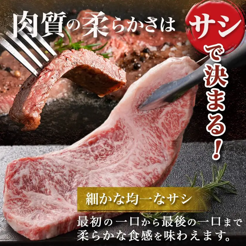 宮崎牛サーロインステーキ(200g×5枚)〔38-N402〕_(都城市)ステーキ 牛肉 宮崎牛 和牛 国産 サーロイン 1kg 贈答用 ギフト