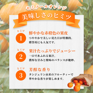 みかん 【家庭用】  セミノールオレンジ 約10kg 【北海道・沖縄・離島配送不可】【BV90037-mrmt037B】