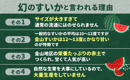 金山すいか 大玉 1玉 西川農園《2027年5月上旬-5月中旬頃出荷》熊本県 荒尾市 スイカ すいか 西瓜 フルーツ 果物 大玉すいか 幻のすいか 1番すいか