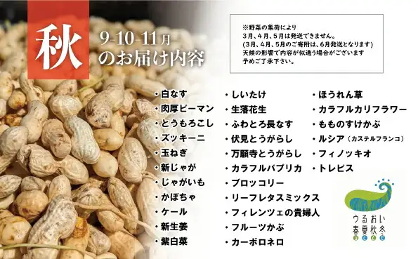 農園自慢 彩り 野菜セット（ 5品 以上?）【予約受付 6月発送開始予定】旬 野菜 詰め合わせ シェフ御用達 国産 うるおい春夏秋冬 やさい セット 岩手県 北上市 A0235 季節の野菜 西洋野菜 紫人参 丸なす 水なす 長なす とうがらし カラフル 野菜 お試し