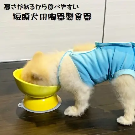 ペット用品 ペット ペットフードボウル「陶器製 短頭犬用食器」イエロー 餌入れ エサ入れ えさ入れ 食器 皿 犬 猫 犬用食器 猫用食器 小型用ペットフードボウル 軽量ペットフードボウル アイボリー 536175 10-095