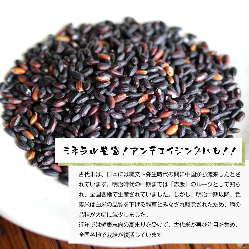 古代米（黒米）　希少！栽培期間中農薬・肥料不使用 1kg（500g×2PC）