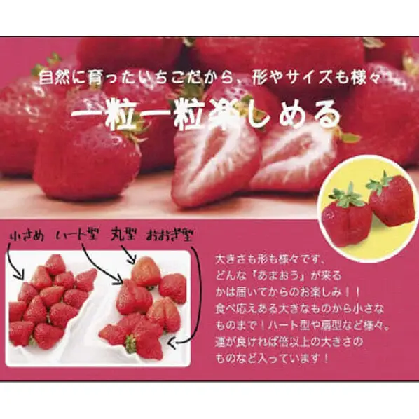 いちごの王様　福岡名産 あまおう 約270ｇ×4パック　計約1,080g　＜2027年3月以降発送＞　いちご イチゴ 苺