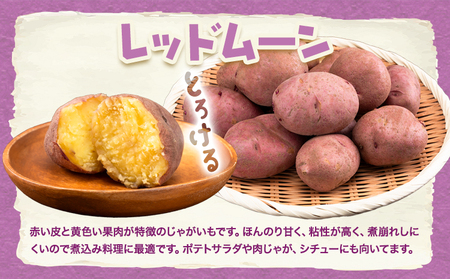 紅白じゃがいも 北海こがね レッドムーン 計5kg 若林農場《11月上旬から翌3月中旬まで順次発送》 じゃがいも 紅白じゃがいも じゃがいも じゃがいも 北海道じゃがいも
