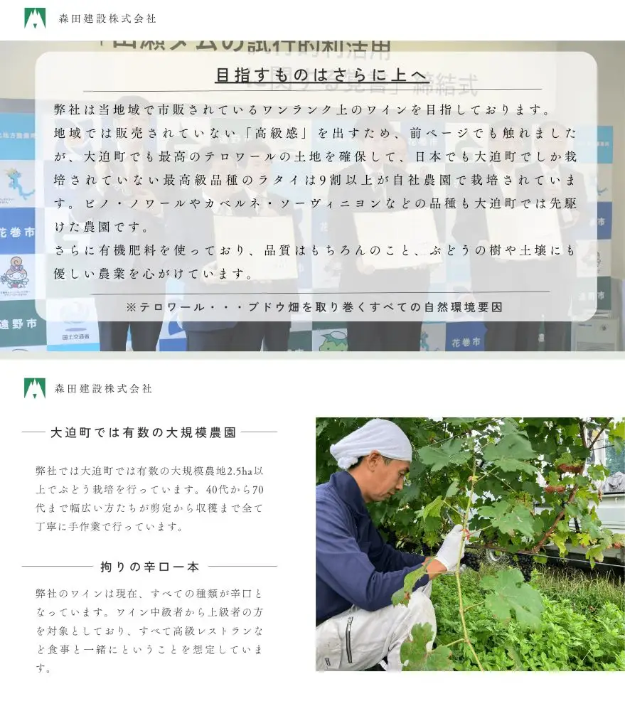 「早池峰の恵み」モリタワイン カベルネ・ソーヴィニヨン2021 ダム貯蔵ワイン ミディアムボディ 辛口　750ml×1本 【2110】