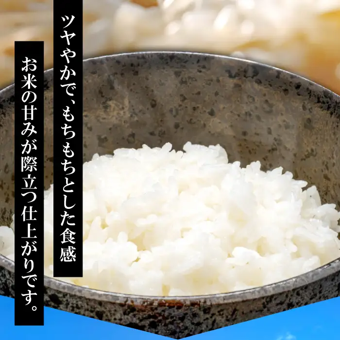 さんべ浮布米（無洗米）定期便（5kg×2回コース）【無洗米 定期便 2回 先行予約 コシヒカリ 5kg 2回定期 令和6年産 こしひかり 合計10kg お米 2024年産 特別栽培米 島根県産 大田市産 減化学肥料】