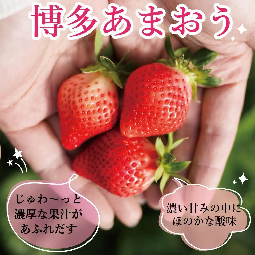 ★先行予約★いちごの王様 福岡県産博多あまおう250g×4パック【2027年2月中旬～3月順次出荷予定】
