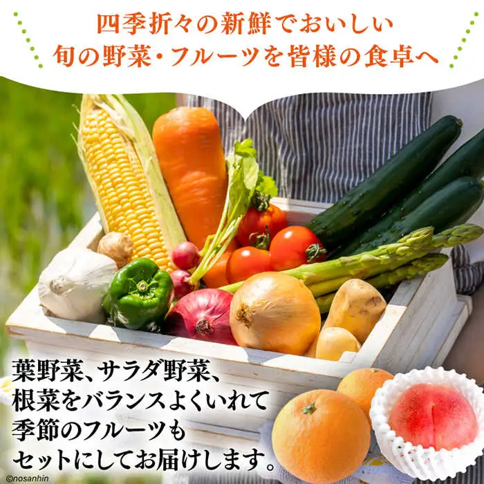 新鮮 「旬の野菜・フルーツ」 詰め合わせ セット（13品-15品）[SCB090] 野菜
