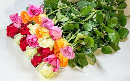 バラの花束 混合（40‐50本）| 花 バラ 薔薇 生花 ローズ 花束 ブーケ 贈り物 プレゼント ギフト【2026年11月下旬頃迄発送予定】
